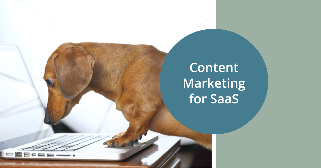 Content Marketing for SaaS: Dachshund reading a computer